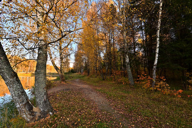 Similar image 22274161