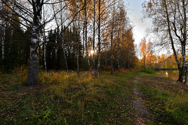 Similar image 22274163