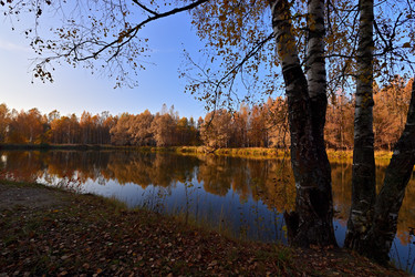 Similar image 22274166