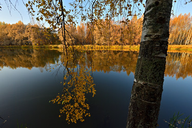 Similar image 22274167