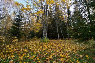 Similar image 22274170