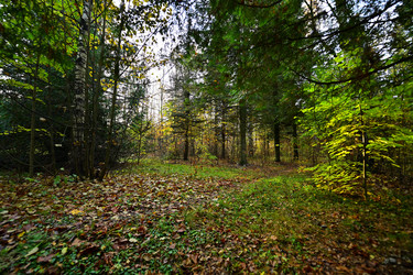 Similar image 22274172