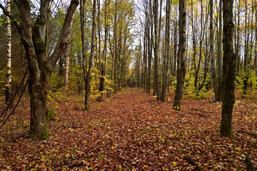 Similar image 22274173