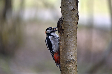 Similar image 22274175