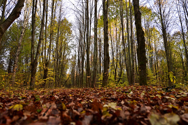 Similar image 22274176