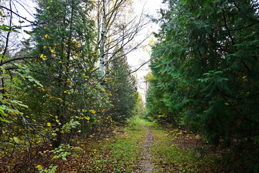 Similar image 22274177