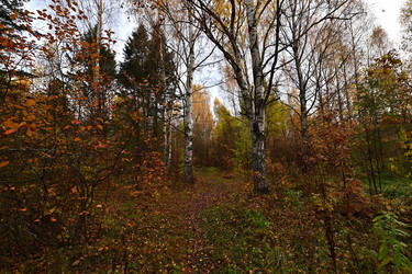 Similar image 22274178