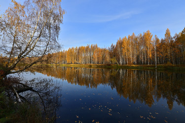 Similar image 22274181