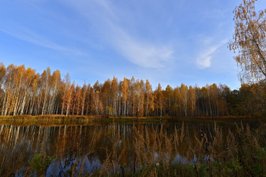 Similar image 22274182