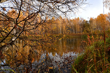 Similar image 22274505