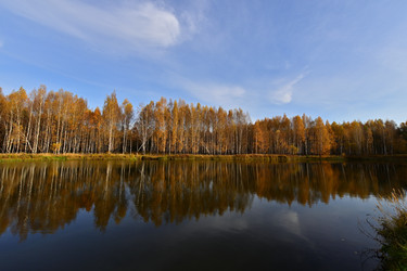 Similar image 22274506