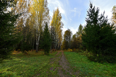 Similar image 22274507