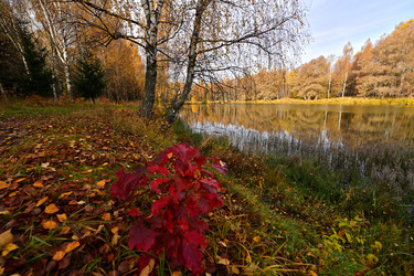 Similar image 22274508