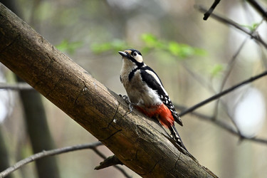 Similar image 22274509