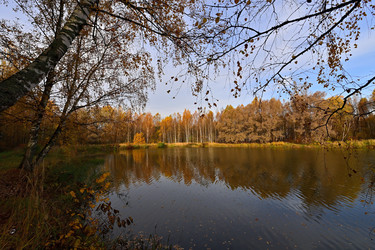 Similar image 22274510