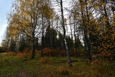 Similar image 22274511