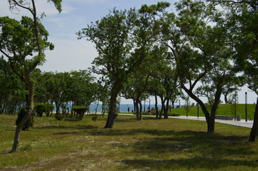 Similar image 22274193