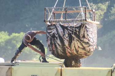 Similar image 22281186