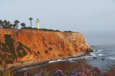 Similar image 22273130