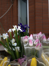 Similar image 22289104