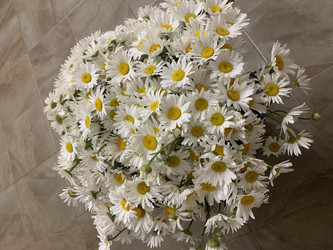 Similar image 22289105