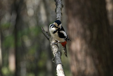 Similar image 22274211