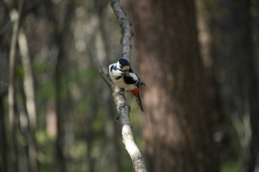 Similar image 22274212