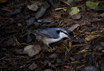 Similar image 22274215