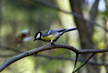 Similar image 22274218