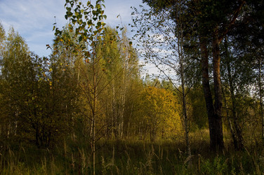 Similar image 22274221