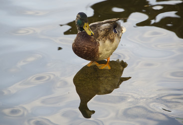 Similar image 22274226