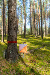 Similar image 22273987