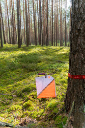 Similar image 22273991