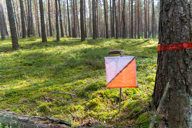 Similar image 22273992