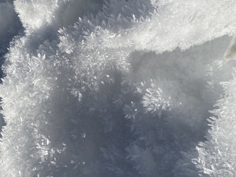 Similar image 22289108