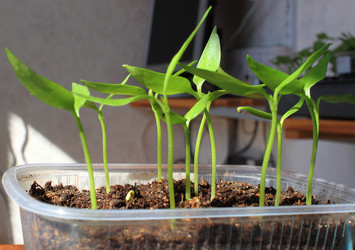 Similar image 22273921