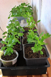 Similar image 22273922