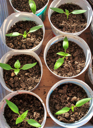 Similar image 22273923