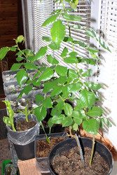 Similar image 22273924