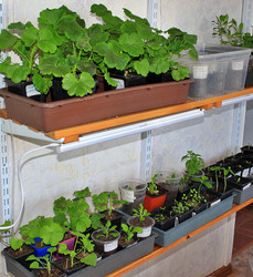 Similar image 22273925