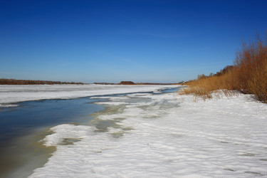 Similar image 22273926