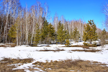 Similar image 22273931