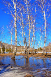 Similar image 22273934