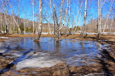 Similar image 22273935