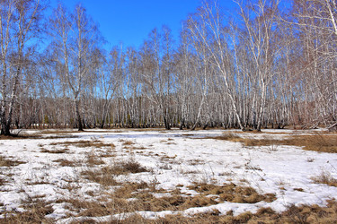 Similar image 22273936