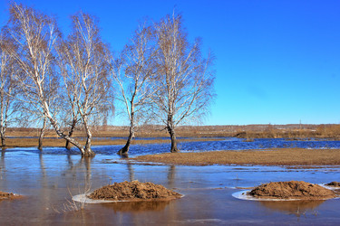 Similar image 22273937