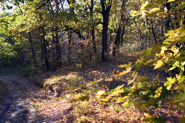 Similar image 22279699