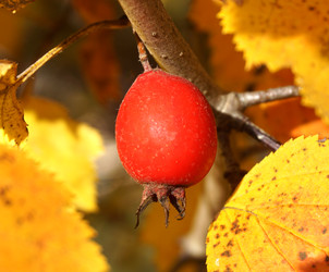 Similar image 22273137