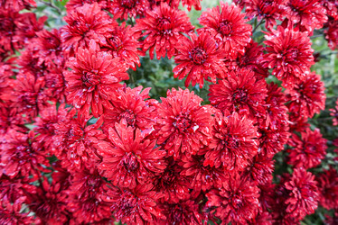 Similar image 22273138