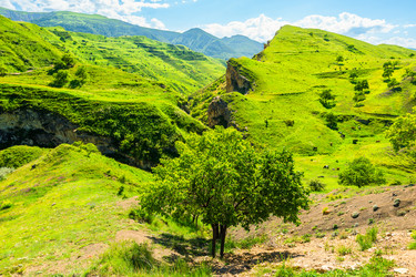 Similar image 22274000